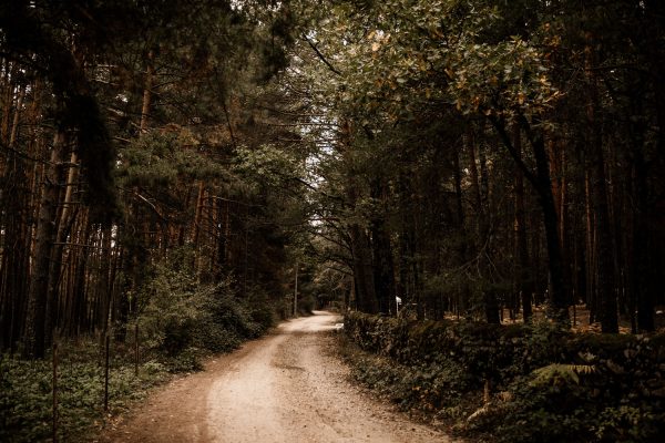 Casa El Palero / Alojamiento Rural en Rascafría Casa El Palero / Alojamiento Rural en Rascafría