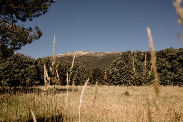 Casa El Palero / Alojamiento Rural en Rascafría Casa El Palero / Alojamiento Rural en Rascafría
